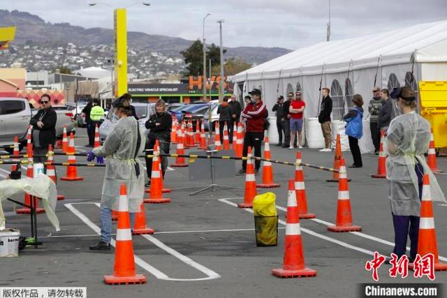 新西兰确诊清零-WordPress极简博客