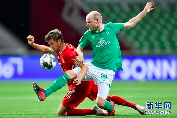 拜仁德甲八连冠-WordPress极简博客