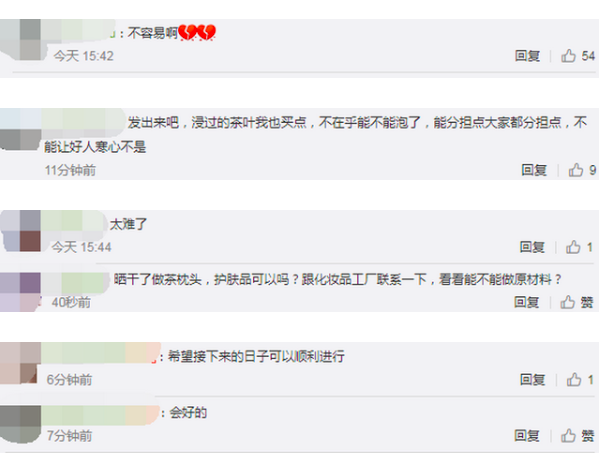 茶企3000吨茶叶被泡老板痛哭-WordPress极简博客