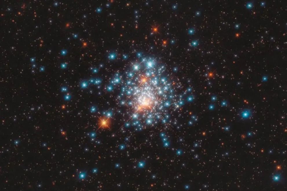 科学家发现5.5亿年前海底生物-WordPress极简博客