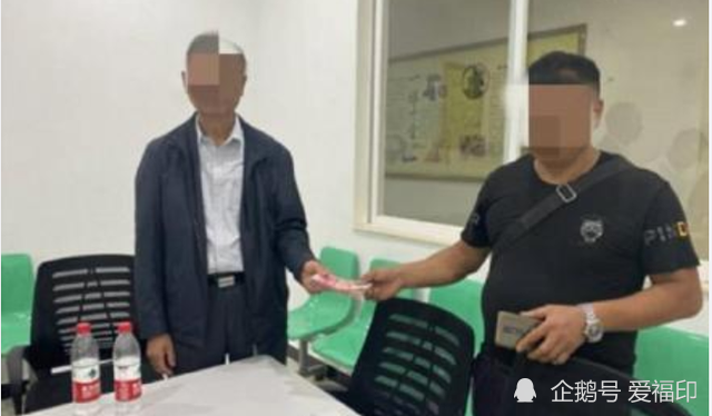 %title插图%num 流浪狗撞伤老人投喂者赔4万-WordPress极简博客