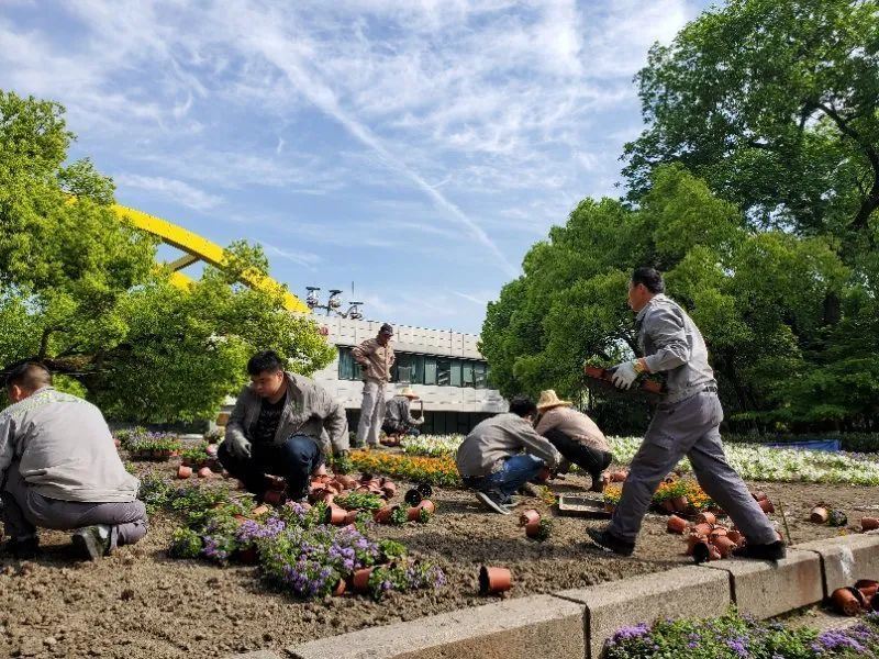 劳动最光荣-WordPress极简博客