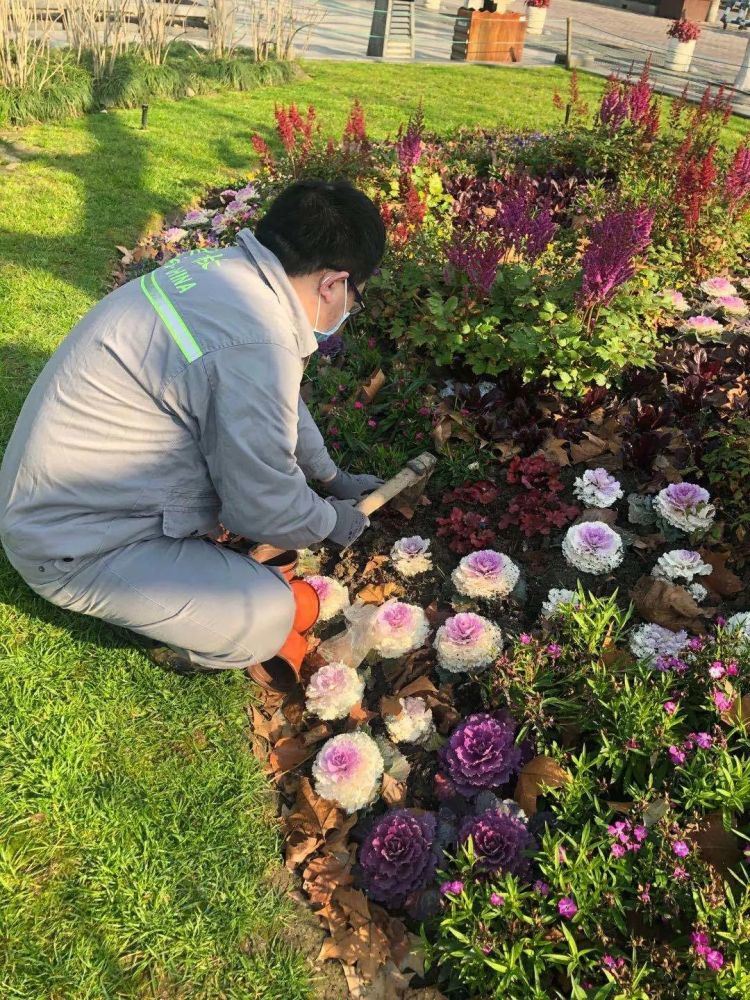 劳动最光荣-WordPress极简博客