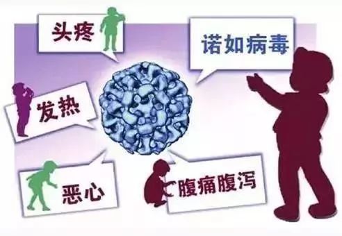 西北民族大学通报265名学生不适-WordPress极简博客