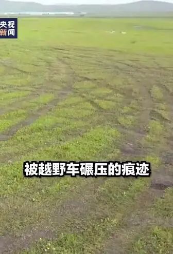 %title插图%num 男子开车碾压草原被罚把草种回去-WordPress极简博客
