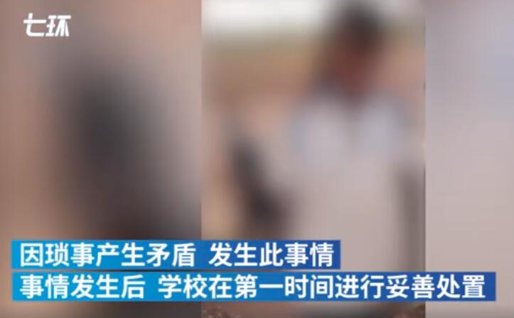 %title插图%num 官方通报一学生被多名学生扇打-WordPress极简博客