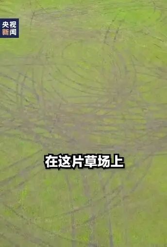 %title插图%num 男子开车碾压草原被罚把草种回去-WordPress极简博客