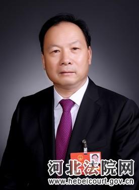 【2020全国两会代表委员看“法”】全国人大代表王连增：积极优化营商环境 主动服务经济社会发展-WordPress极简博客