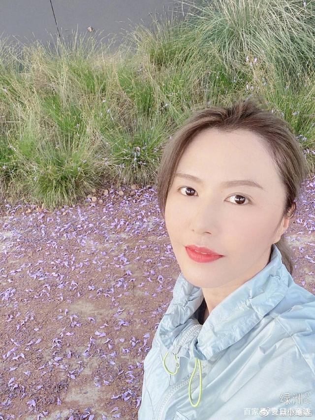 谭维维 我承认我羡慕流量歌手-WordPress极简博客