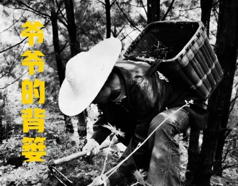 %title插图%num 成年人的快乐六一-WordPress极简博客