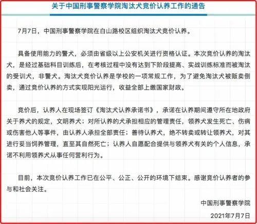 %title插图%num 警校售淘汰犬最高拍出33万-WordPress极简博客