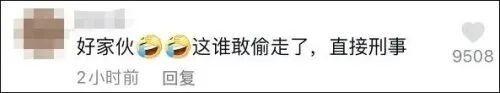 %title插图%num 警校售淘汰犬最高拍出33万-WordPress极简博客
