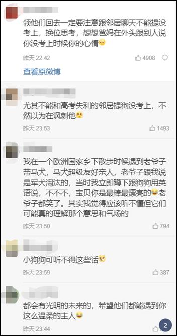 %title插图%num 警校售淘汰犬最高拍出33万-WordPress极简博客