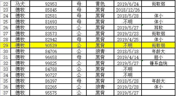 %title插图%num 警校售淘汰犬最高拍出33万-WordPress极简博客
