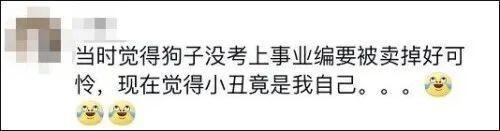 %title插图%num 警校售淘汰犬最高拍出33万-WordPress极简博客