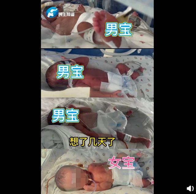 %title插图%num 新乡一产妇第三胎生下龙凤四胞胎-WordPress极简博客