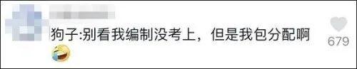 %title插图%num 警校售淘汰犬最高拍出33万-WordPress极简博客