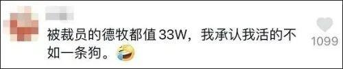 %title插图%num 警校售淘汰犬最高拍出33万-WordPress极简博客