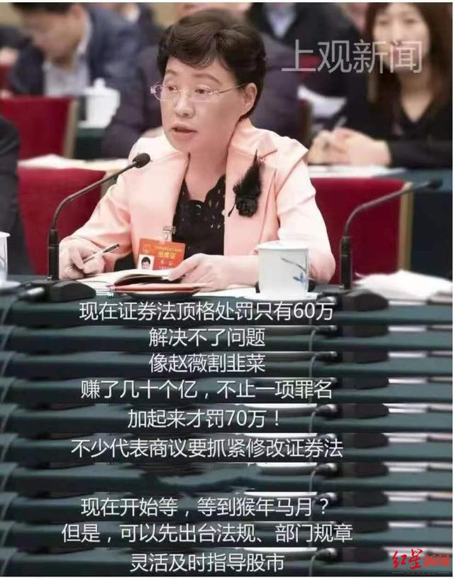 %title插图%num 赵薇这些年在资本市场干了什么-WordPress极简博客