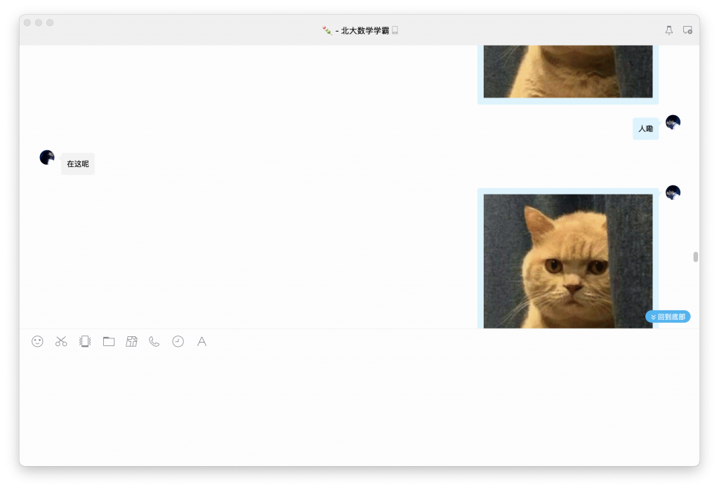 今天谈恋爱了-WordPress极简博客