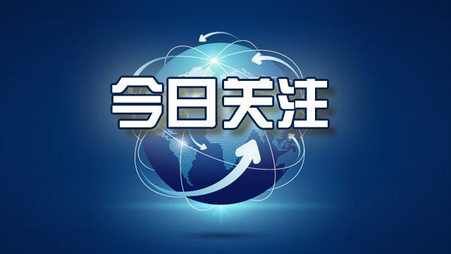 %title插图%num 女子潜逃13年被广场舞队友举报落网-WordPress极简博客