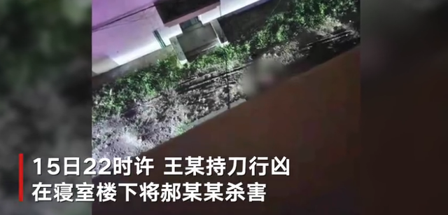 %title插图%num 沈阳理工大学发生命案:大四学生在寝室楼下持刀杀害室友-WordPress极简博客