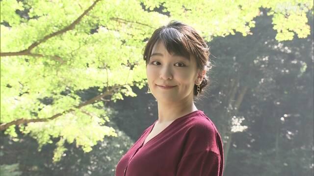 %title插图%num 日本真子公主今日结婚-WordPress极简博客