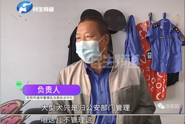 %title插图%num 狗咬人事件气哭记者 狗主人被停职-WordPress极简博客