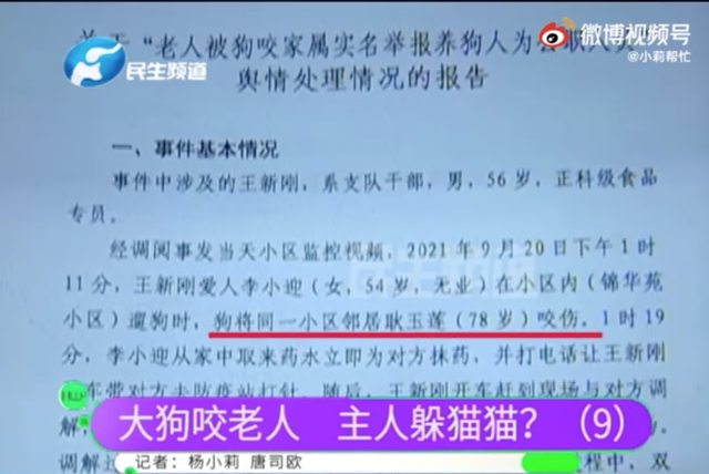 %title插图%num 狗咬人事件气哭记者 狗主人被停职-WordPress极简博客