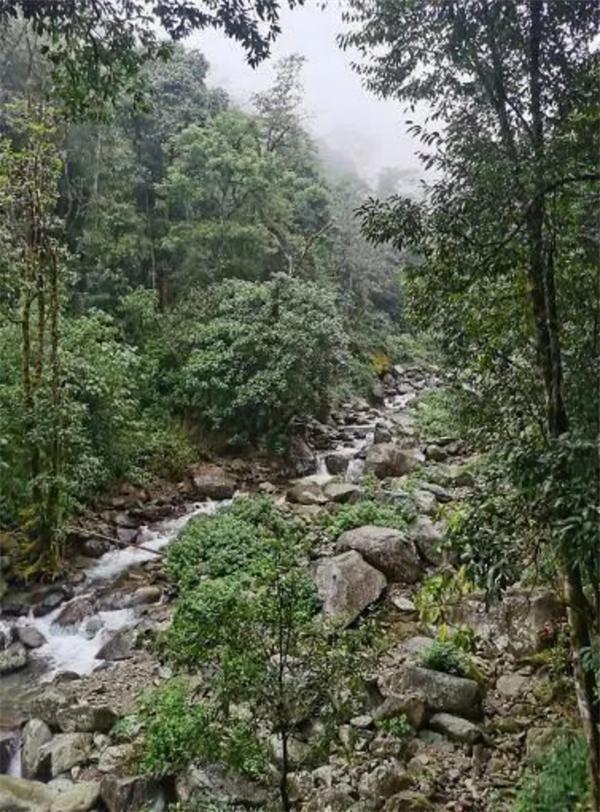 %title插图%num 遇难地质人员进山为何穿一次性雨衣-WordPress极简博客