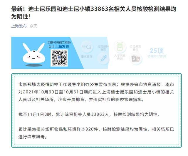 %title插图%num 亲历者讲述上海迪士尼核酸检测之夜-WordPress极简博客