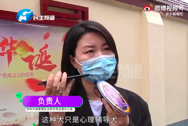 %title插图%num 狗咬人事件气哭记者 狗主人被停职-WordPress极简博客
