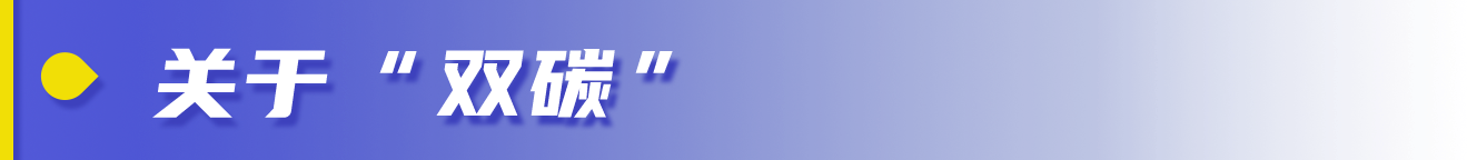 中央经济工作会议 硬核信息很好懂-WordPress极简博客