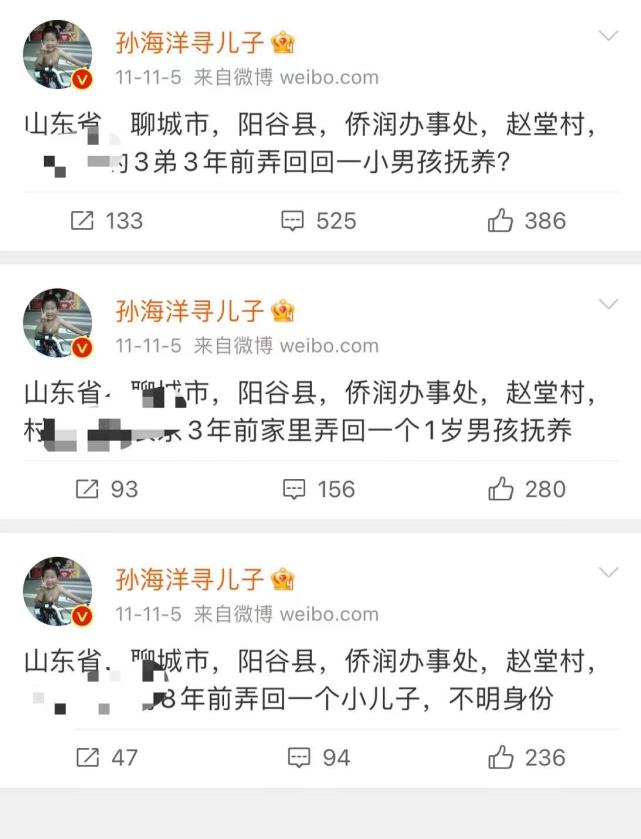 %title插图%num 被质疑重男轻女?孙海洋回应-WordPress极简博客