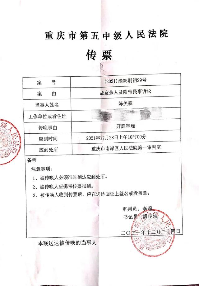 重庆姐弟被生父扔下坠亡案将再开庭-WordPress极简博客