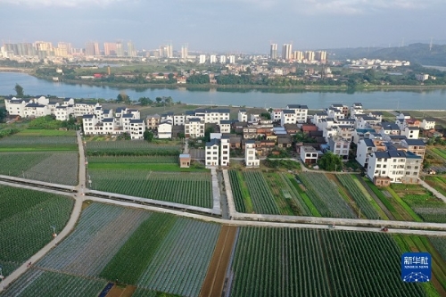 稳住农业基本盘做好三农工作-WordPress极简博客