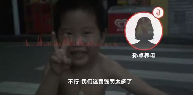 养母称三胎罚款多将孙卓落户黑龙江-WordPress极简博客