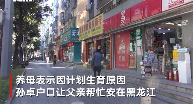 养母称三胎罚款多将孙卓落户黑龙江-WordPress极简博客