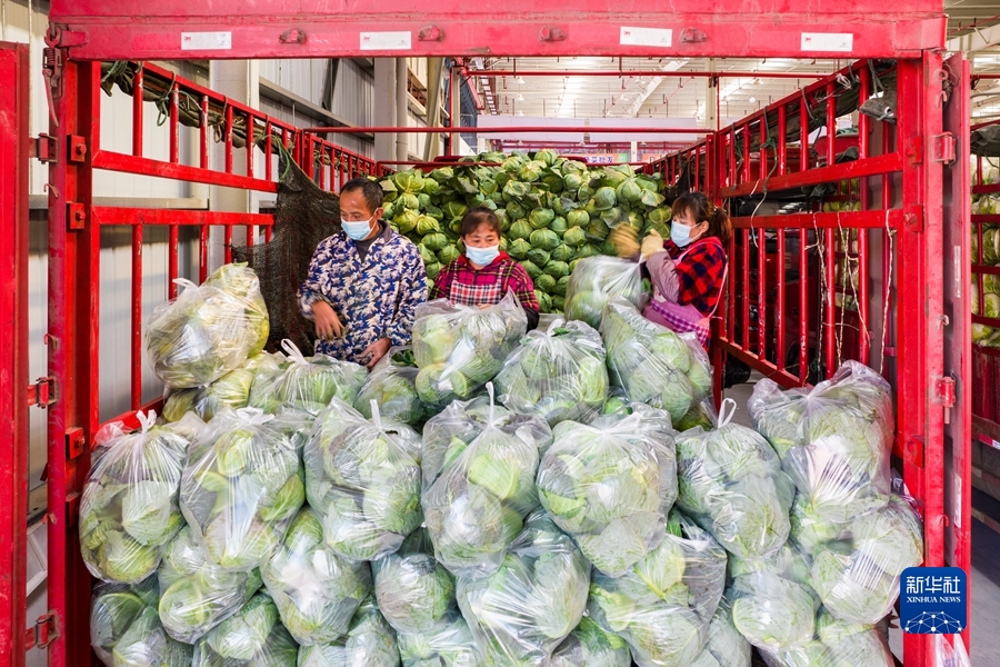 稳住农业基本盘做好三农工作-WordPress极简博客