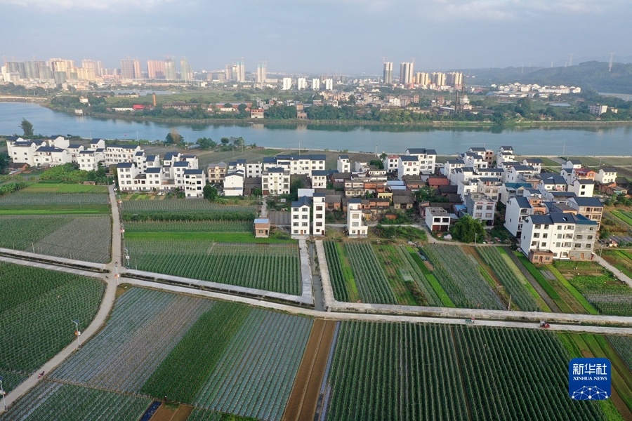 稳住农业基本盘做好三农工作-WordPress极简博客