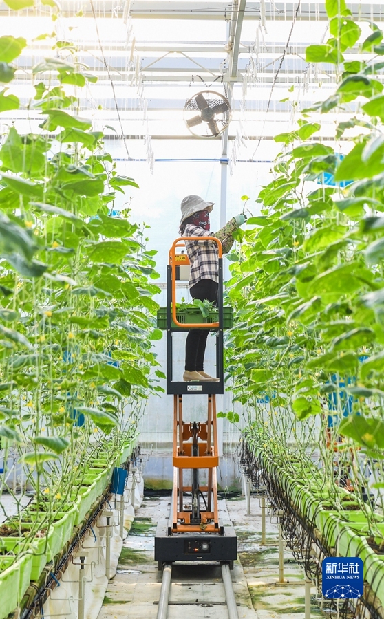 稳住农业基本盘做好三农工作-WordPress极简博客