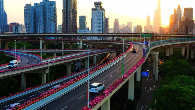 新年第一缕阳光-WordPress极简博客