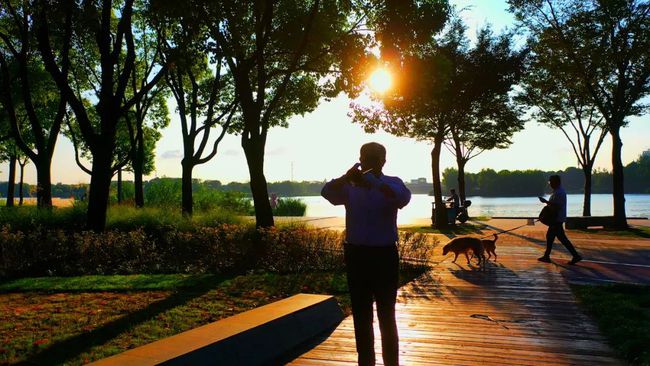 新年第一缕阳光-WordPress极简博客