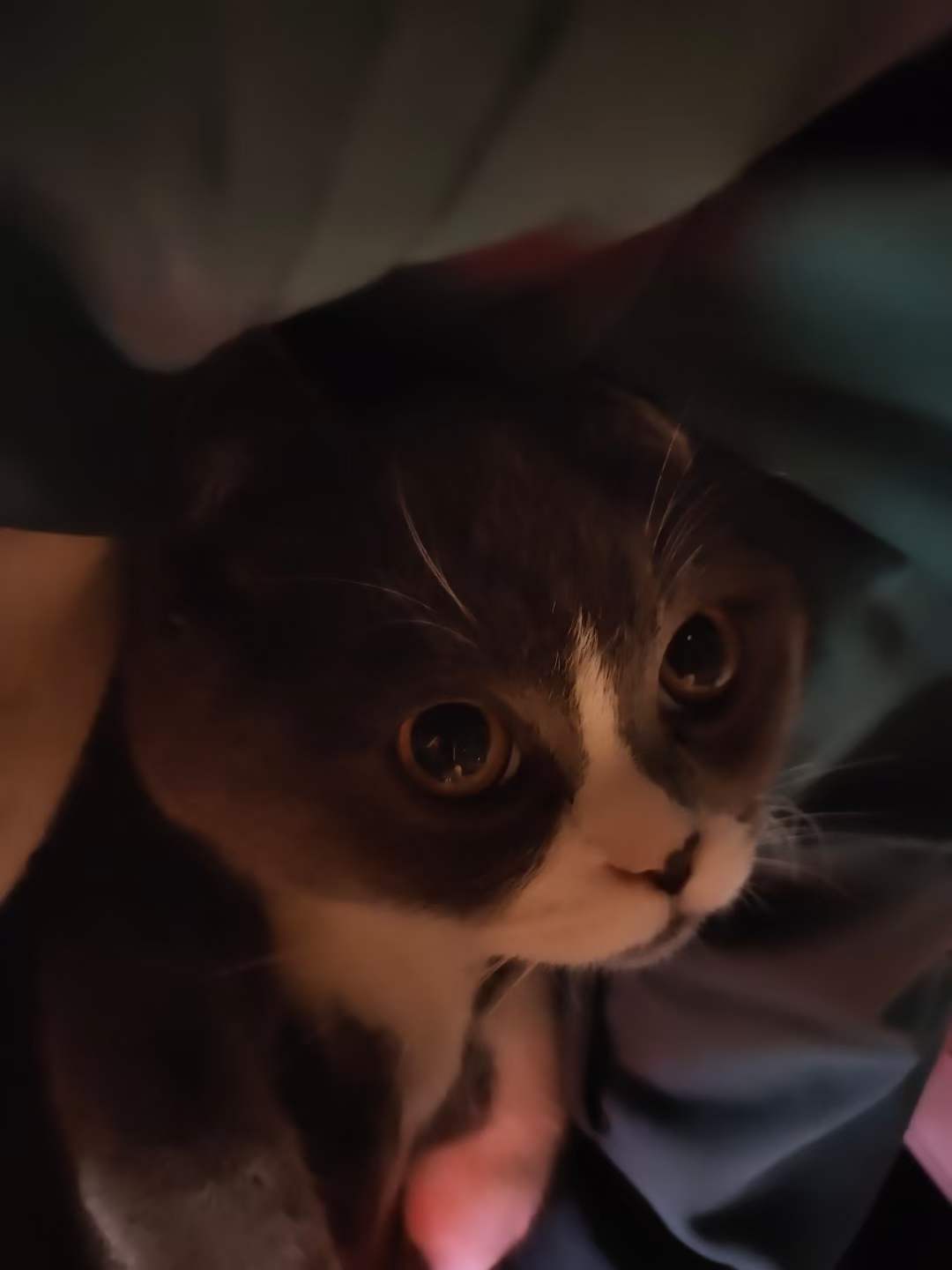 分手了，也很高兴-WordPress极简博客