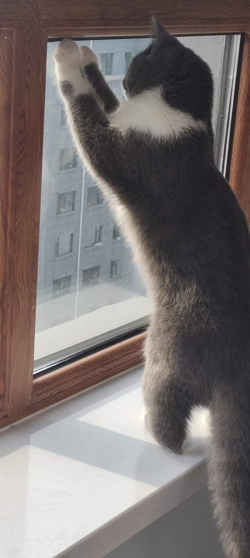 分手了，也很高兴-WordPress极简博客