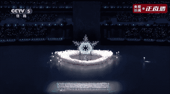 一“鸽”都不能少网友看到深意-WordPress极简博客