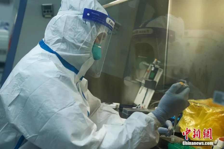 31省区市新增本土确诊21例-WordPress极简博客